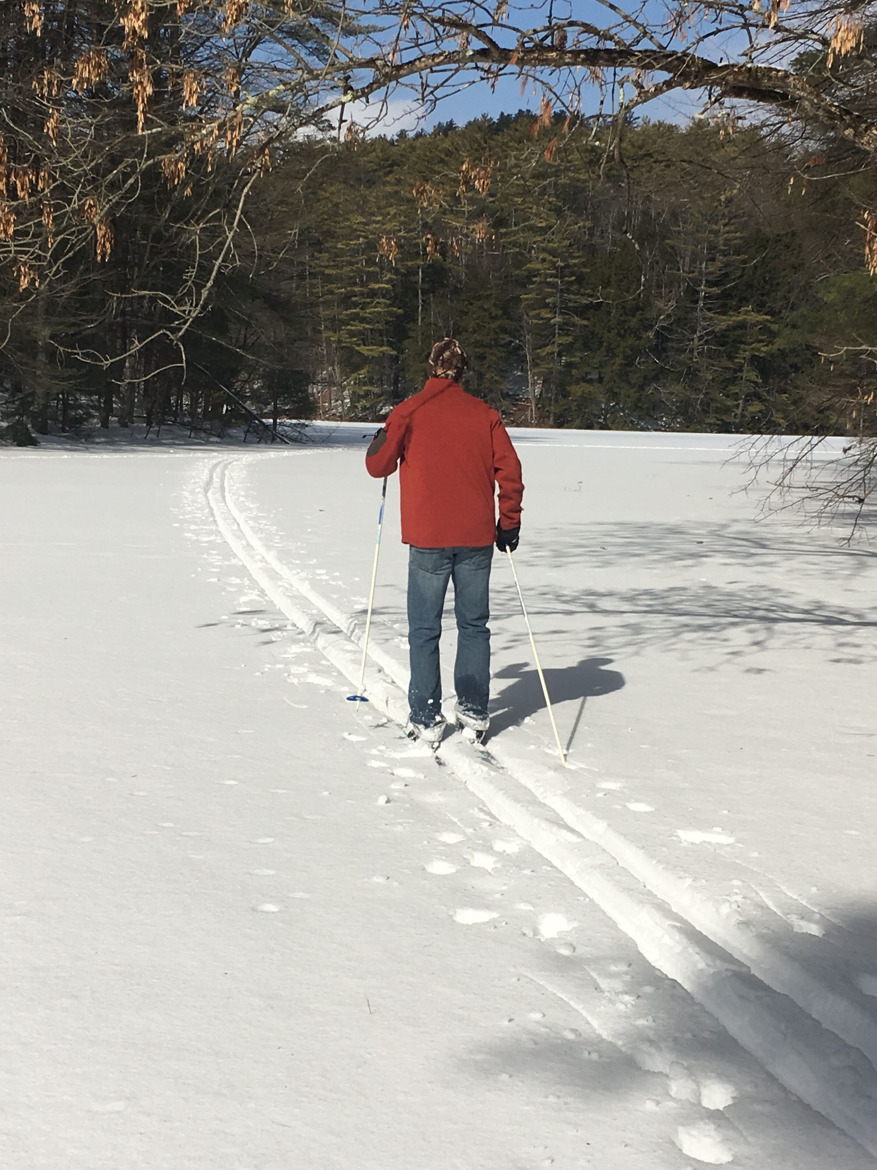 A person cross-country skiing on a snow-covered path with trees in the background.