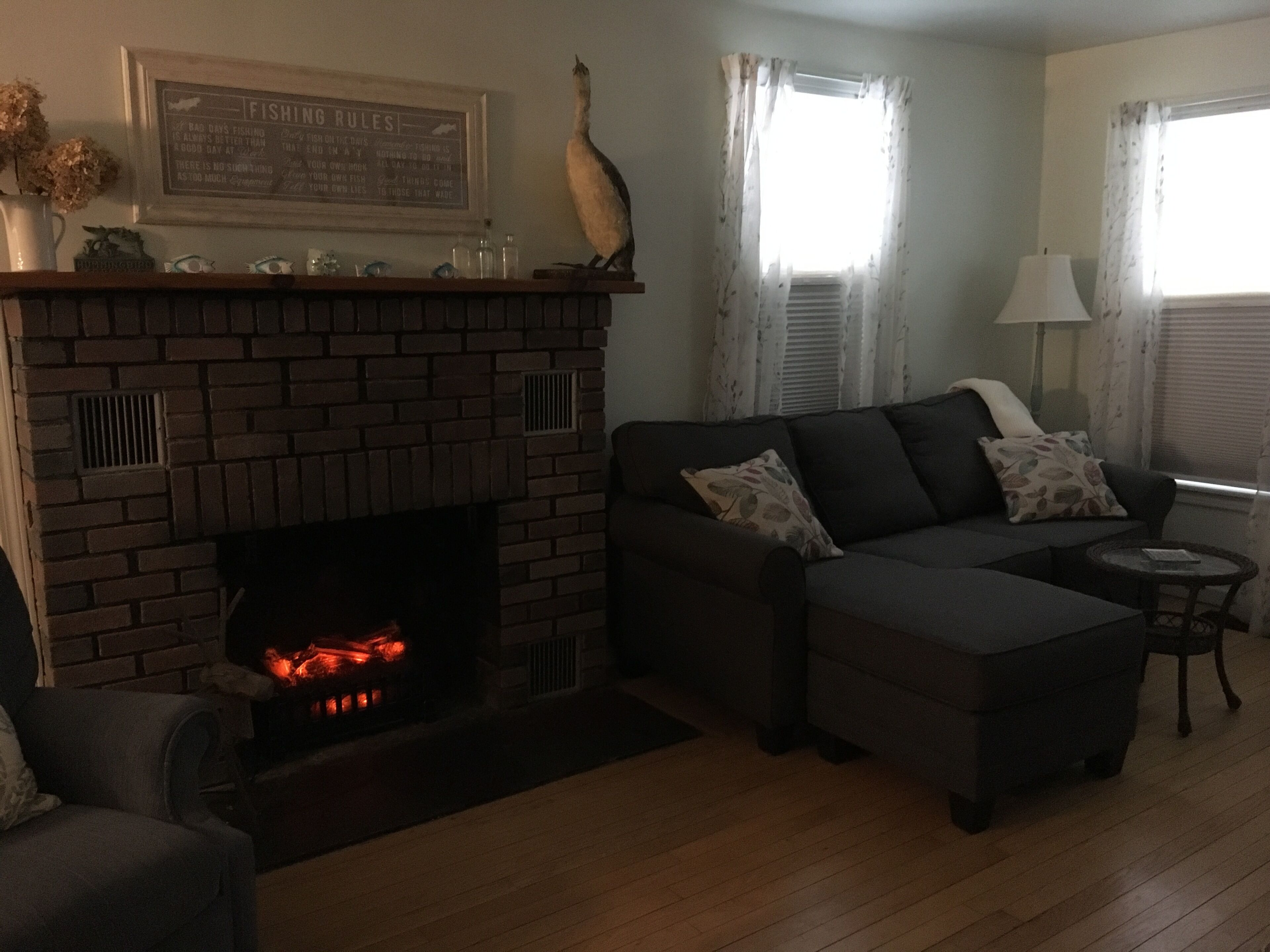 Smart TV, chimenea, reproductor de DVD, videoteca