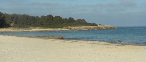 Playa en los alrededores