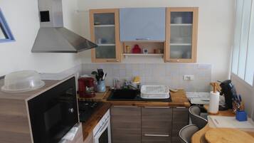 Frigorífico, microondas, horno y placa de cocina