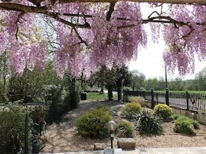 المنطقة المحيطة بالمنشأة