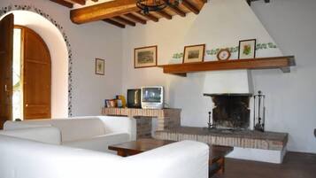 TV, fireplace, books