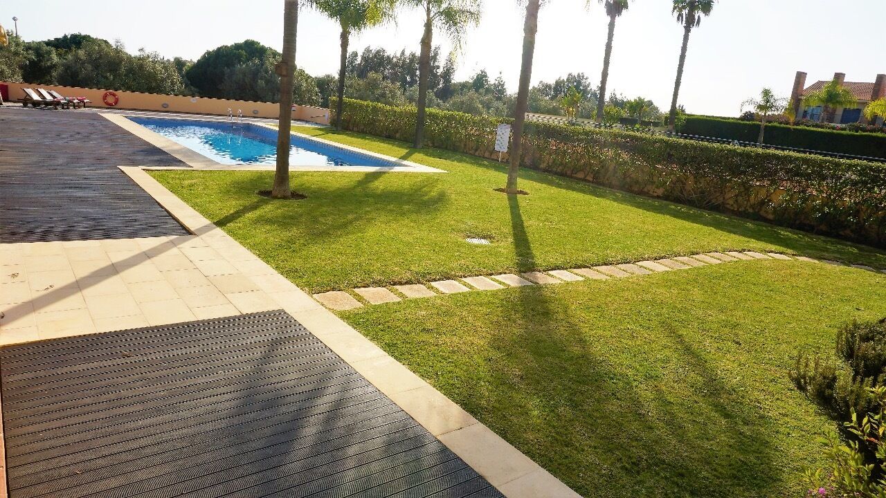 Zwembad met een omliggend gazon, palmbomen en een verhard pad.