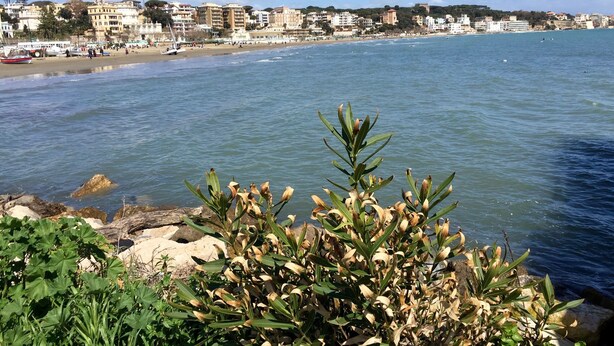 Un paysage urbain côtier avec des bâtiments le long de la plage et une côte rocheuse.