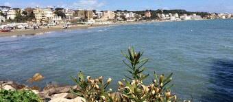 FACING THE SEA APARTMENT WITH PRIVATE STEPS TO WIDE BEACH