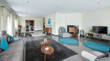 Smart TV, fireplace, video games, DVD player
