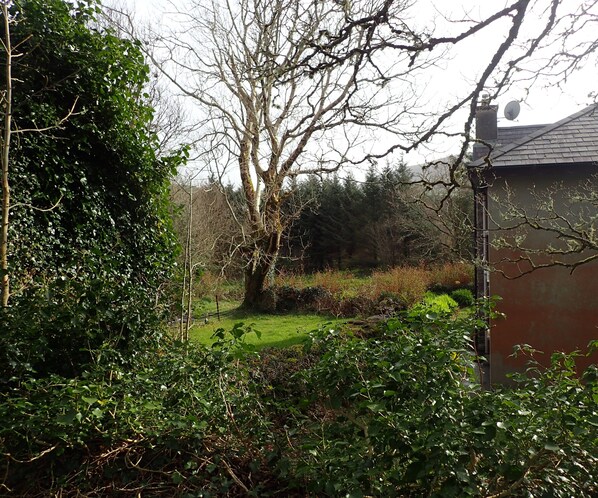 A garden with a large tree, dense shrubbery, and a building with a sloped roof.