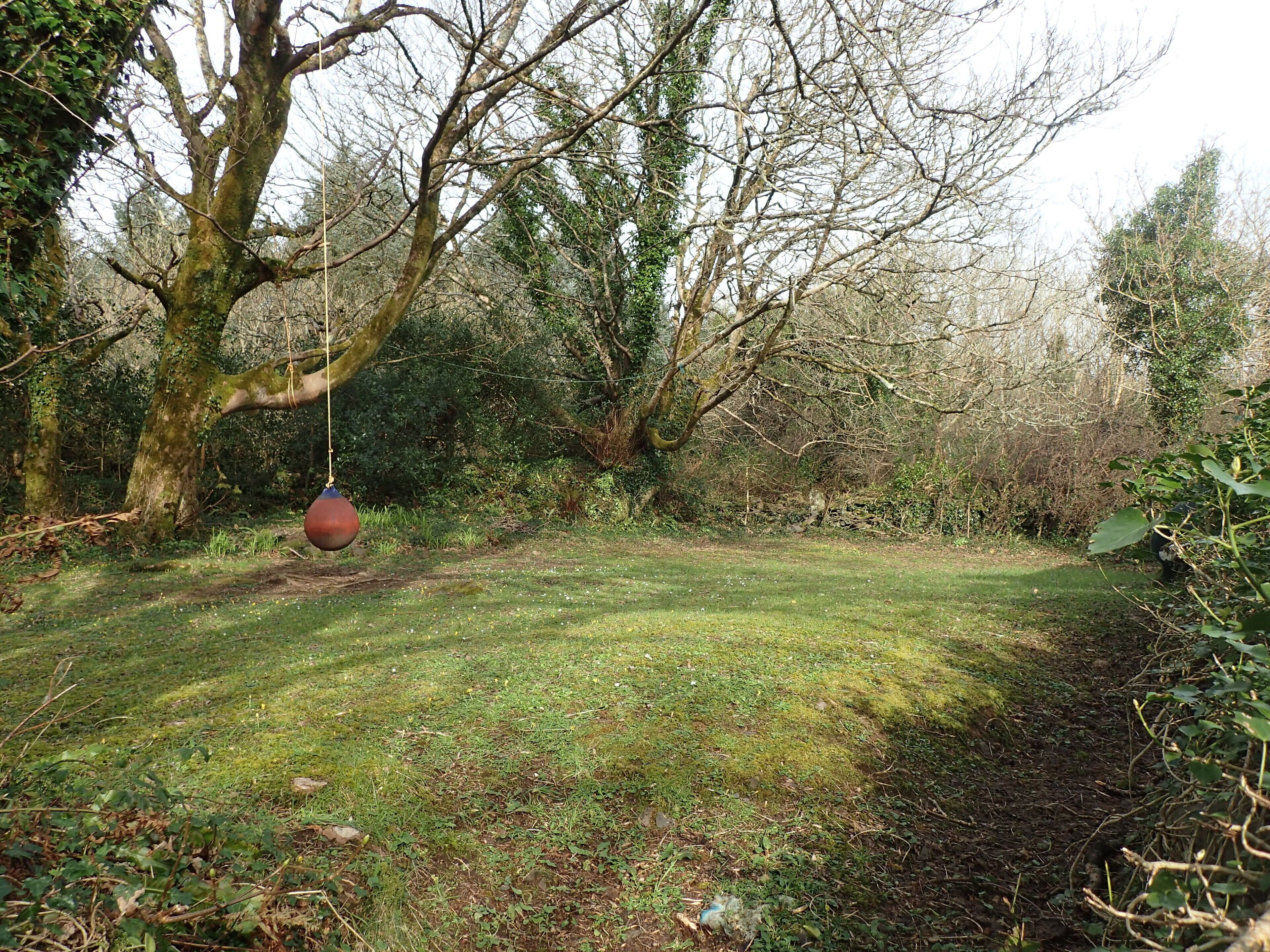 Un espace extérieur naturel avec une pelouse verdoyante, des arbres et une balançoire suspendue à une branche.