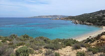La Gallura: les espaces, les couleurs, les saveurs, les parfums ... la qualité de l'environnement, la qualité de vie ...