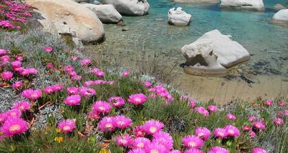 Die Region Gallura: Landschaft, Farben, Geschmäcke, Gerüche … Lebensqualität.