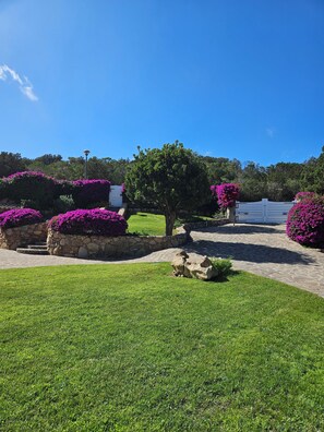 المنطقة ال�محيطة بالمنشأة