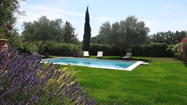 A rectangular swimming pool surrounded by a well-maintained lawn, with three lounge chairs and a tall, slender tree in the background. - House / Villa - Uzès (Uzès)