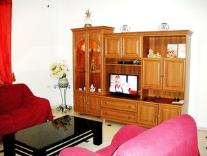 TV, lareira, DVD player, livros