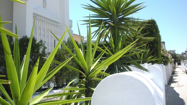 A white building with a balcony, surrounded by green plants and a clear blue sky.