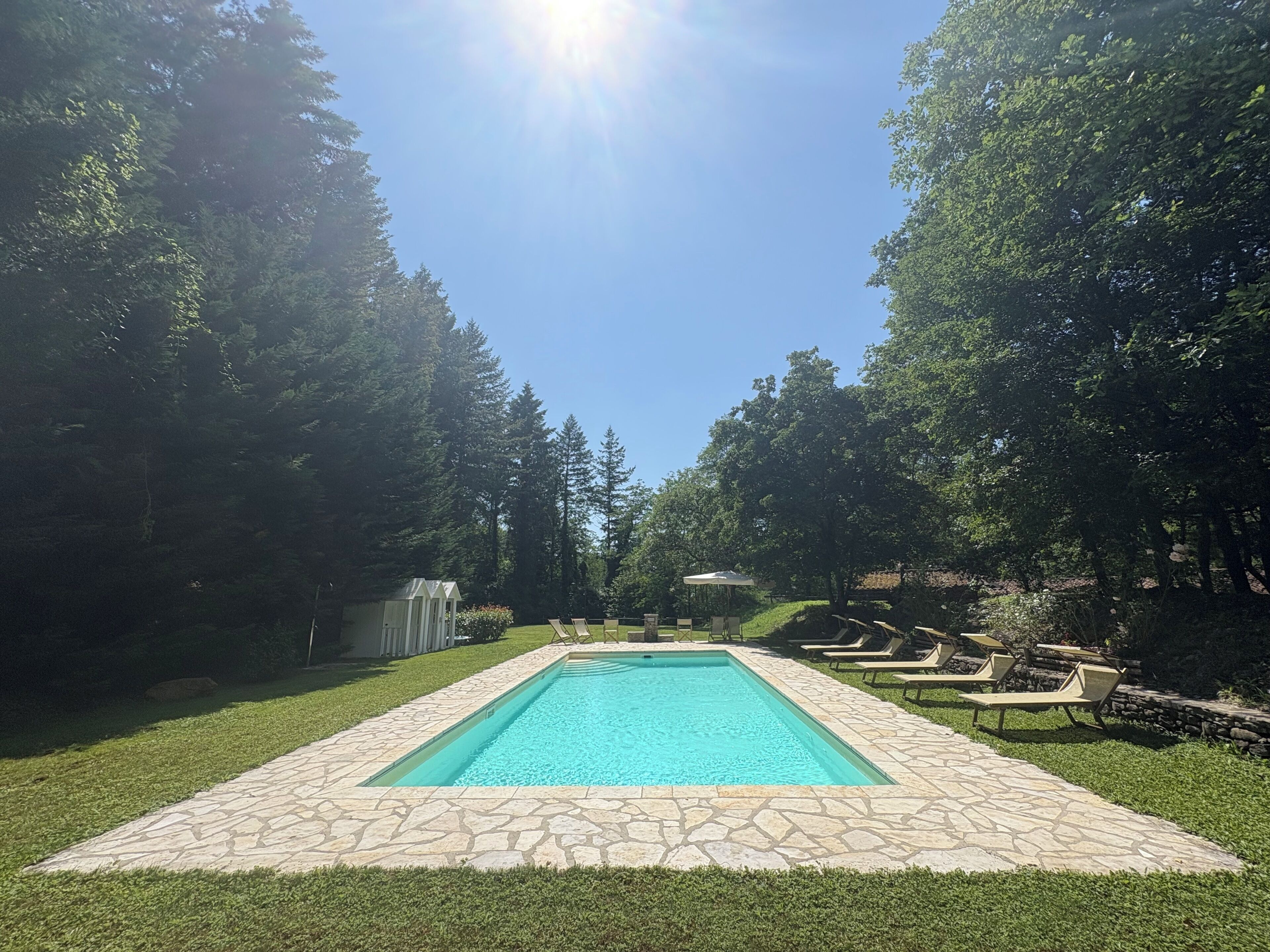 Outdoor pool, sun loungers