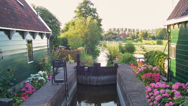 A canal with a narrow bridge, surrounded by lush greenery and flowers.