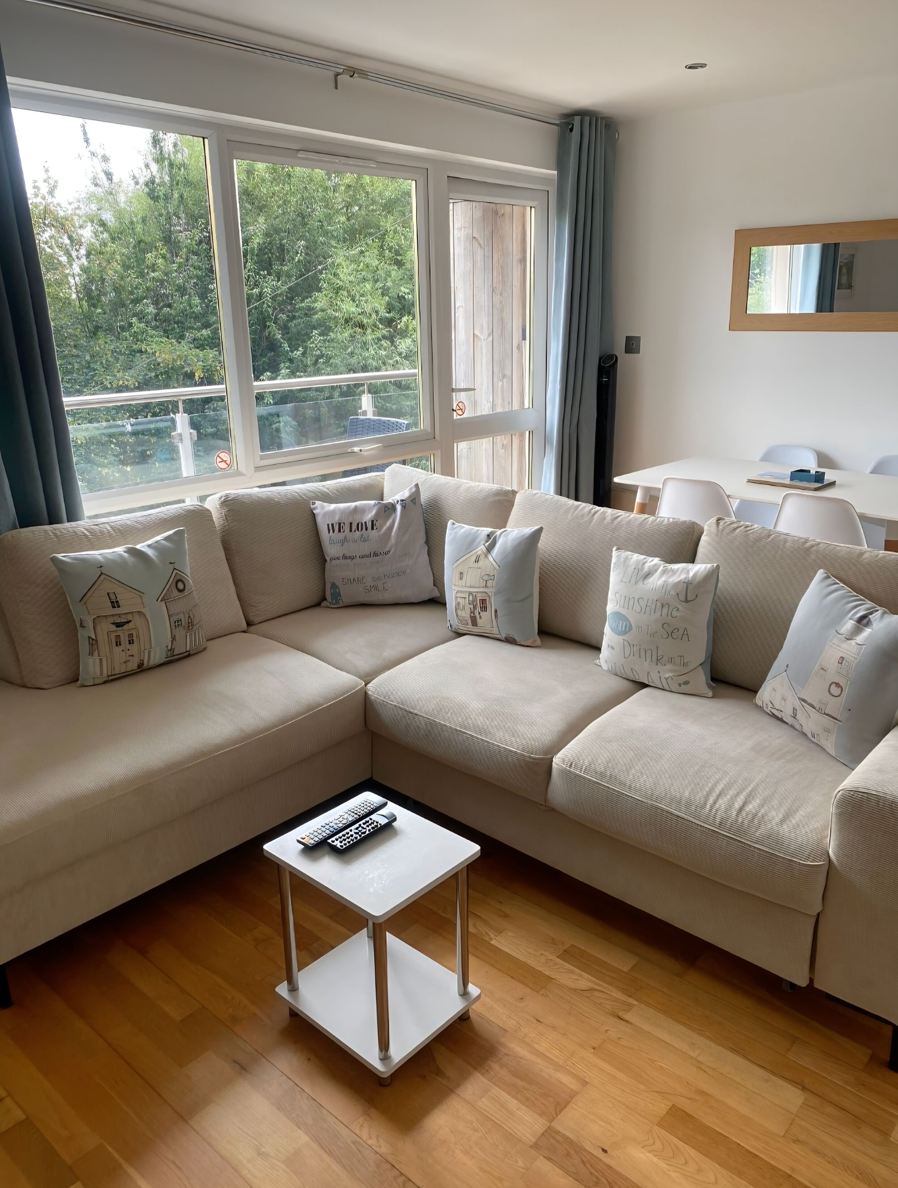 TV, DVD player, books