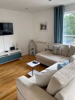 Fernseher, DVD-Player, Bücher