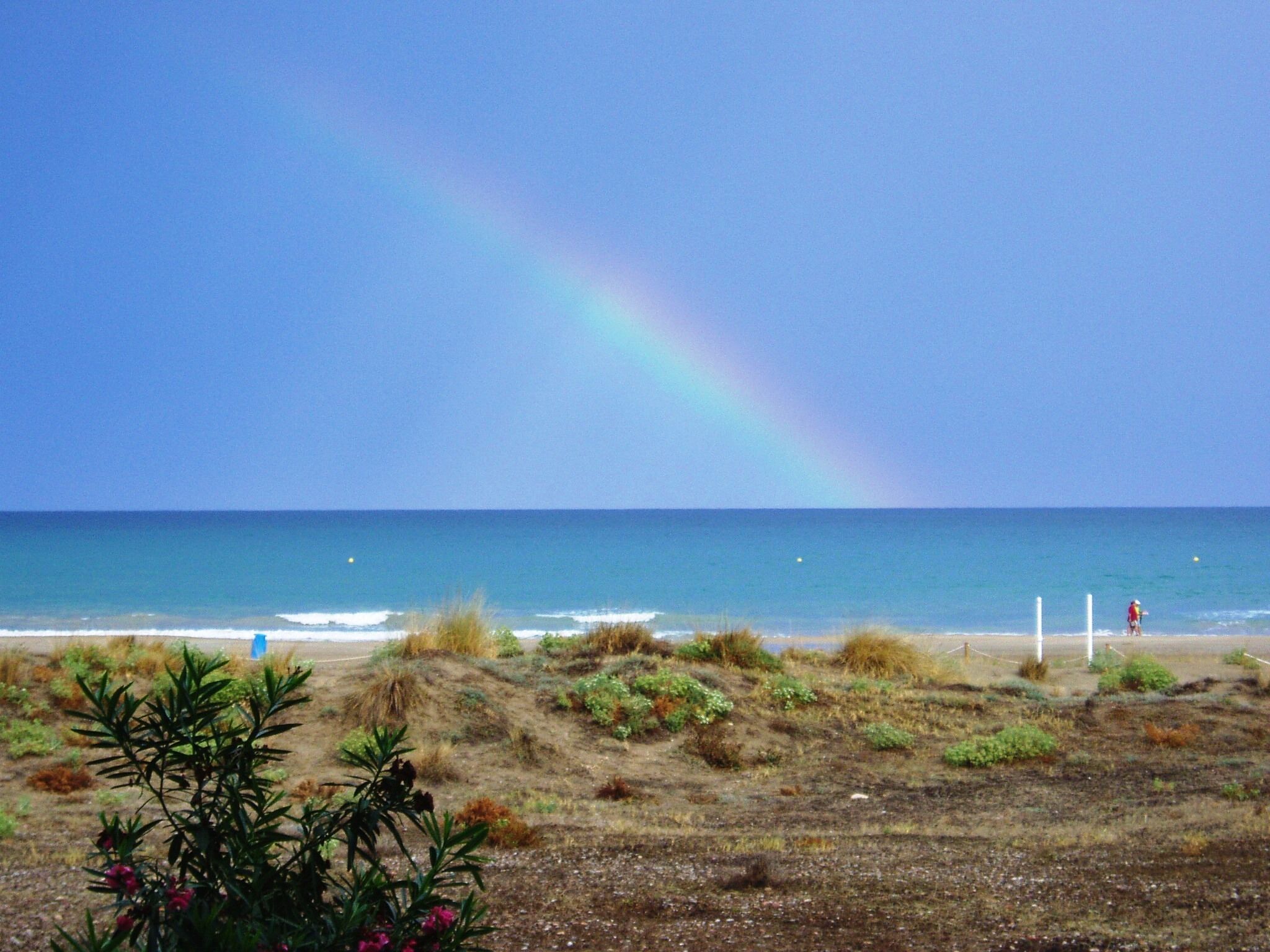 Playa en los alrededores 
