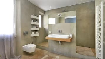 Shower, hair dryer, bidet, towels