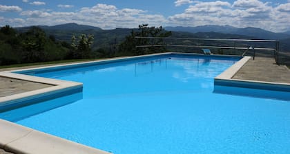 VILLA CON PISCINA PRIVADA PARA USO EXCLUSIVO Y AMPLIO JARDIN EN LA ZONA DE HILLY