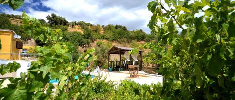 Jardines del alojamiento