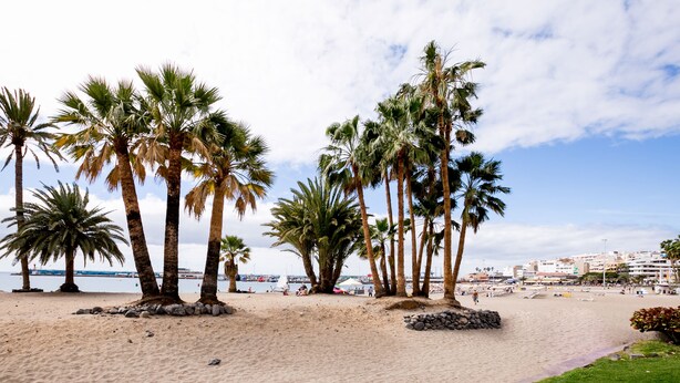 Una playa arenosa con palmeras y un puerto deportivo al fondo.