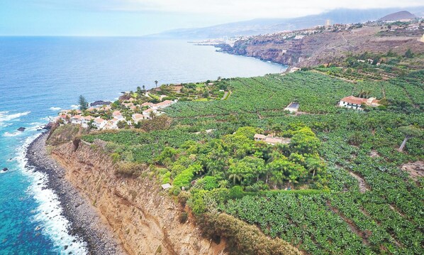 A coastal property with terraced gardens and a view of the ocean. - 10.000 m2 Tropical peaceful Garden near the Sea, Pool & Sea Views (Los Realejos)