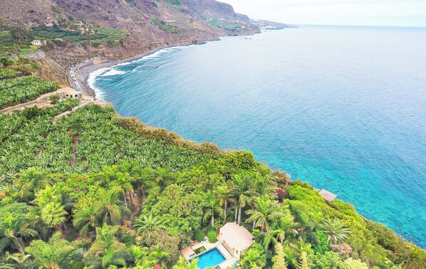 Una propiedad costera con piscina rodeada de exuberante vegetación y vistas al océano.