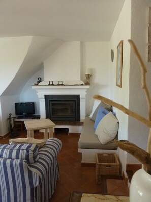 TV, fireplace - **Le ROUMEGOU** nice appartment in "LA FERME DU MOULIN ROUX" (Ramatuelle)