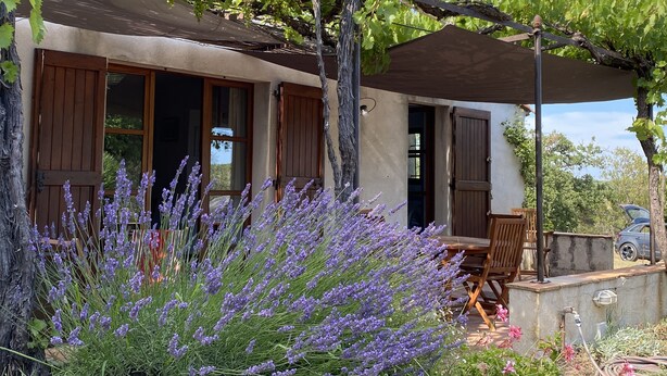 Ett hus med en vingård, en pergola och en trädgård med lavendel.