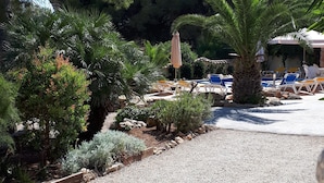 Un jardín con un camino de grava, palmeras y una zona de piscina con sillones de descanso.