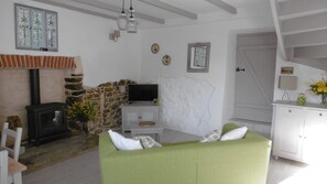 Télévision, cheminée, lecteur de DVD, livres