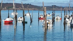 Ein Yachthafen mit in ruhigem Wasser vor Anker liegenden Booten, umgeben von Holzpfählen und Hügeln im Hintergrund.