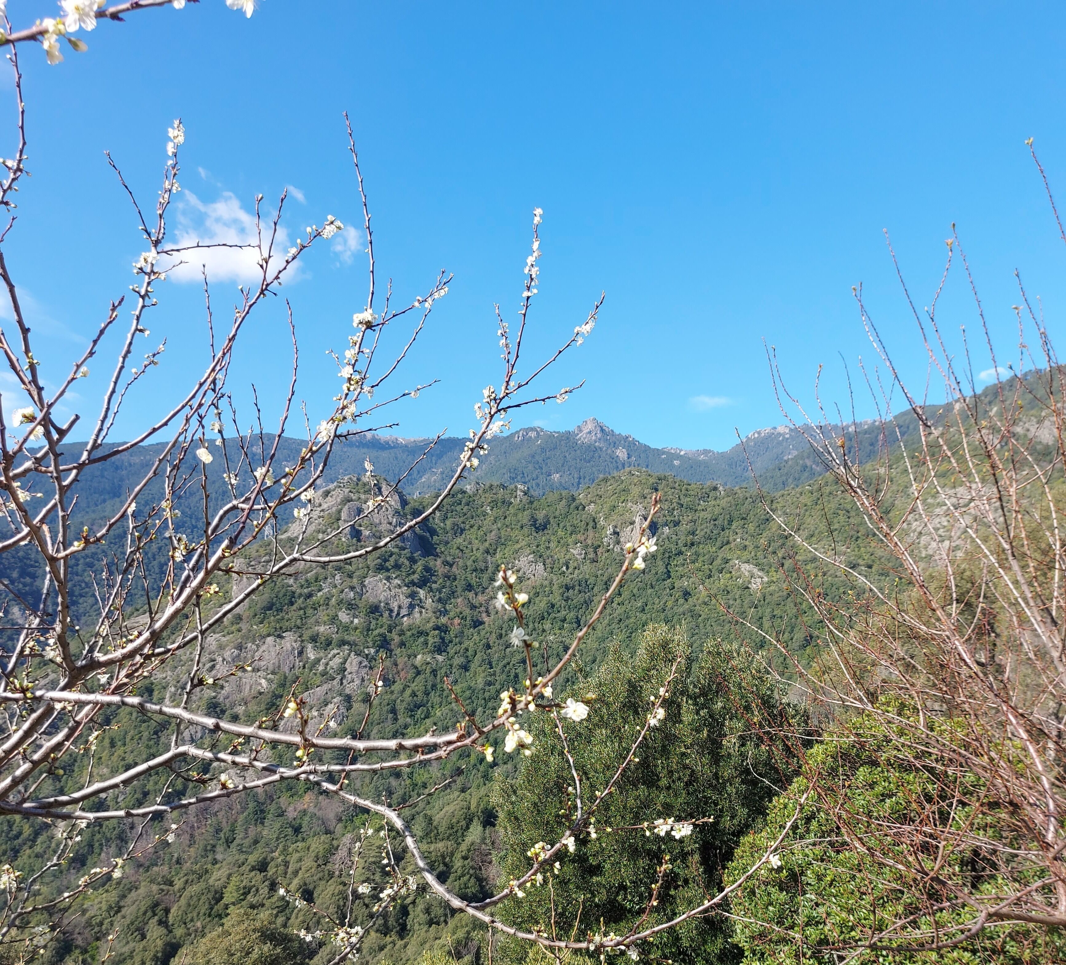 A mountainous landscape with a clear sky.