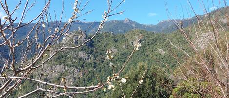 A mountainous landscape with a clear sky.