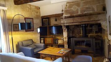 Televisión, chimenea, reproductor de DVD y libros