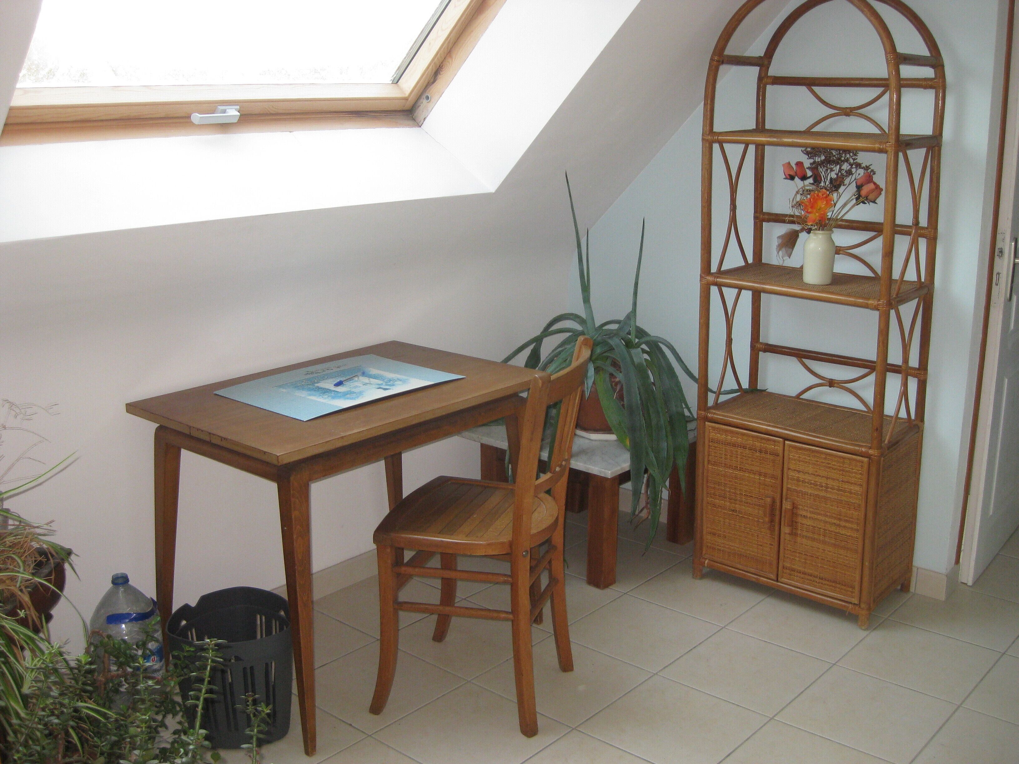 Een kleine kamer met dakraam, een houten tafel met stoel, een bloempot en een rieten kast met planken.
