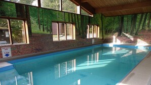 An indoor swimming pool with clear pool depth signage, surrounded by windows with forest-themed murals. - Paradise in the Lake District. (Skelwith Bridge, Ambleside)