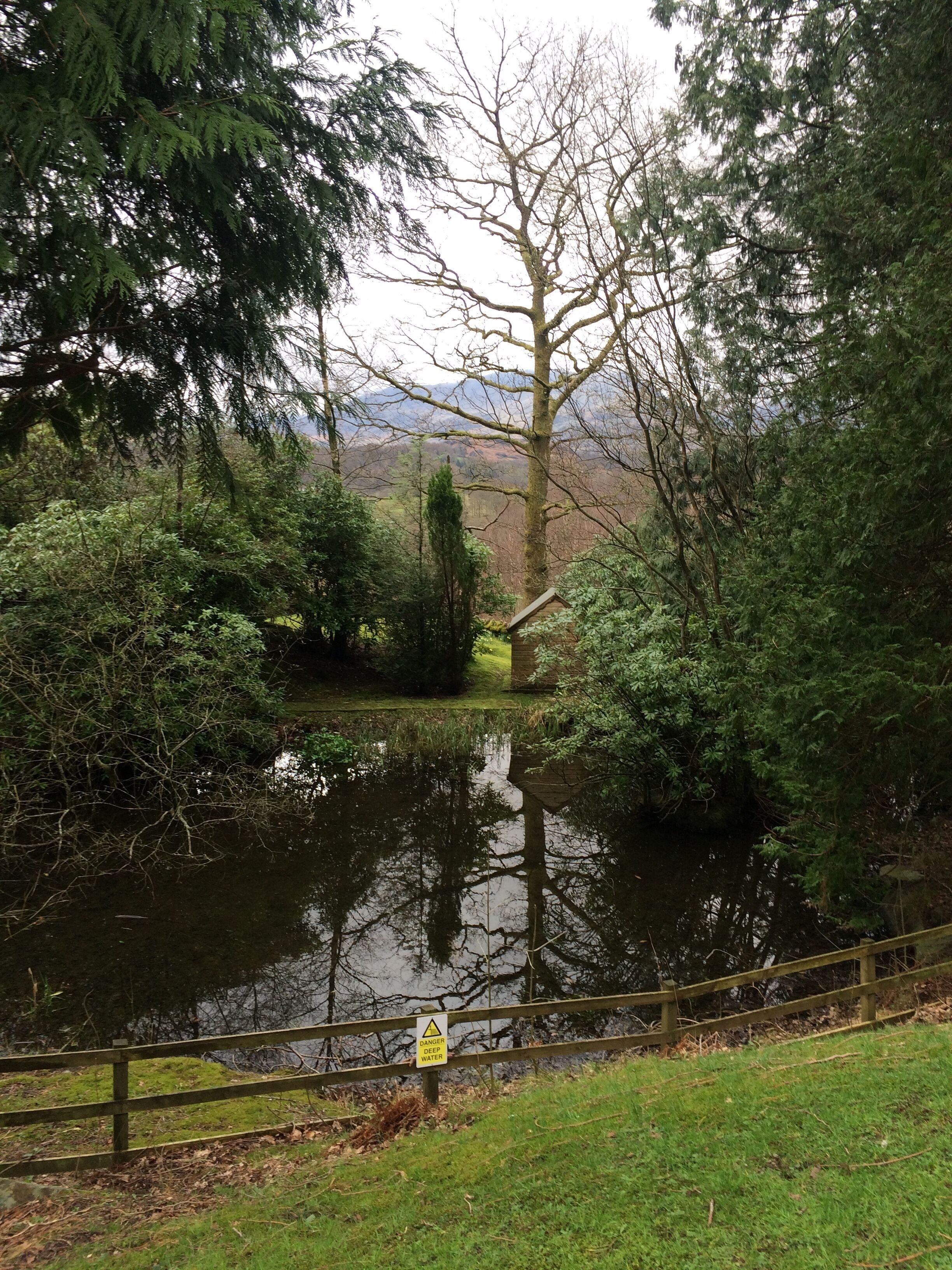 A tranquil pond surrounded by dense greenery and a wooden fence.