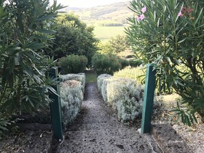 Overnattingsstedets uteområder