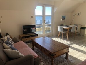 Smart TV, DVD player, books, video library