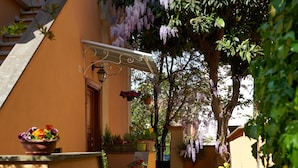 Une cour intérieure avec un escalier, une jardinière suspendue et un arbre aux fleurs violettes.