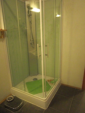 Baignoire, sèche-cheveux, serviettes fournies, papier toilette