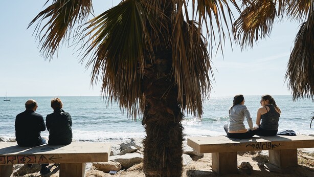 Une plage avec deux bancs, dont l’un est couvert de graffitis, et des palmiers.