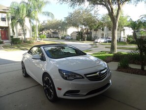 Property grounds - Stylish Ever Popular House with Large Solar Heated Pool/Spa in Gated Community (Davenport)