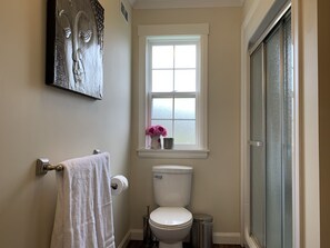 Combined shower/bathtub, hair dryer, towels, soap