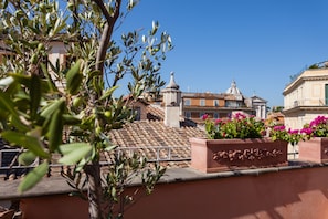 Detalle exterior