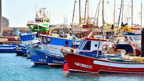 Un port de plaisance où sont amarrés plusieurs bateaux, de différentes tailles et de couleurs variées.