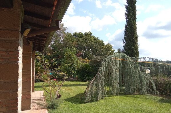 Un jardín con un pérgola, un árbol alto y diversas plantas.